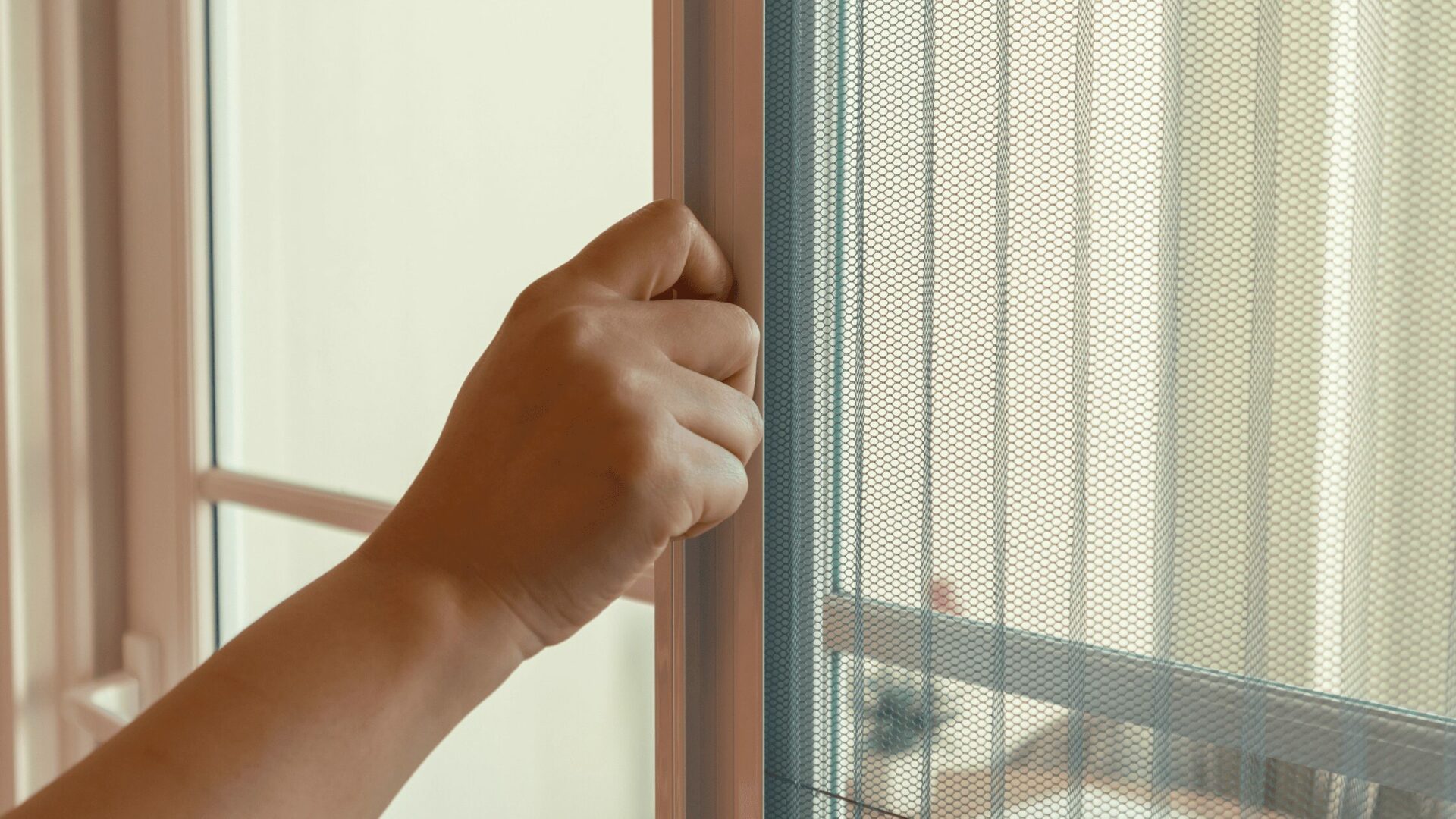 come-pulire-le-zanzariere-di-casa-chemicalroadmaster